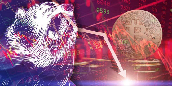 Nillion开放空投查询入口在哪？为什么Nillion值得关注？Nillion Network代币经济解析