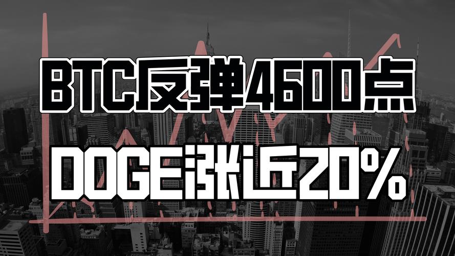 代币化股票成为加密新宠，山寨币的未来前景到底如何？