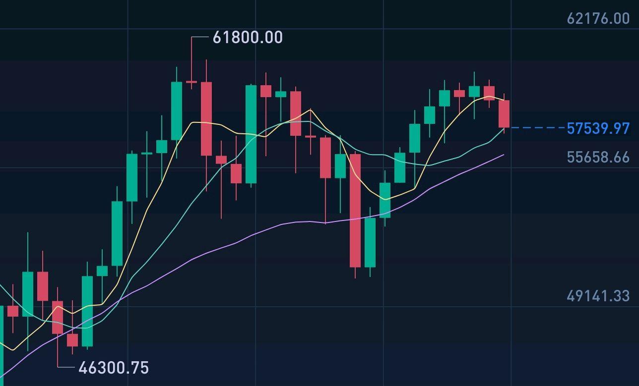 阿瑟&middot;海耶斯批评 Circle 公司的IPO，指出其对Coinbase的依赖是主要弱点